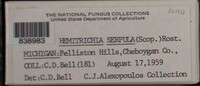 Image Associated With the Occurence